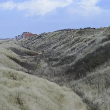 Vakantie Apppartement Park Zeepolder Lägenhet *