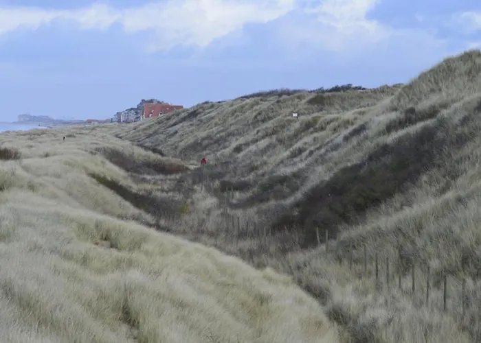 Vakantie Apppartement Park Zeepolder Apartman *