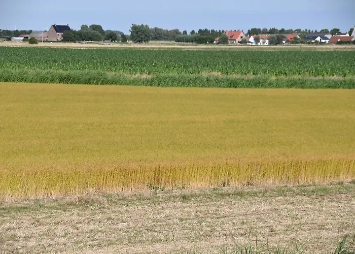 Apartman Vakantie Apppartement Park Zeepolder De Haan