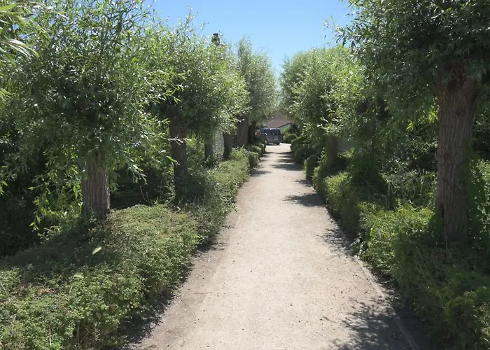 Vakantie Apppartement Park Zeepolder De Haan